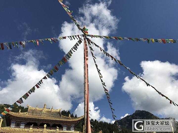 突然想起了九寨沟地震前拍的花海_旅游