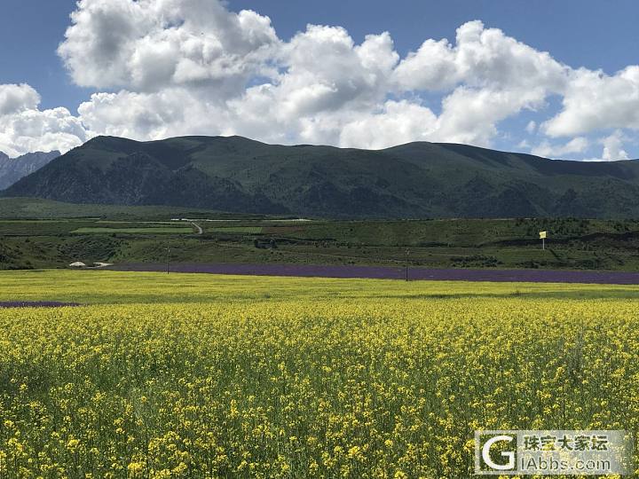 突然想起了九寨沟地震前拍的花海_旅游