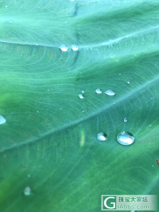 雨后_摄影