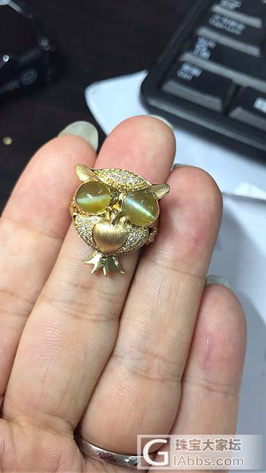 白内障的猫_镶嵌猫眼