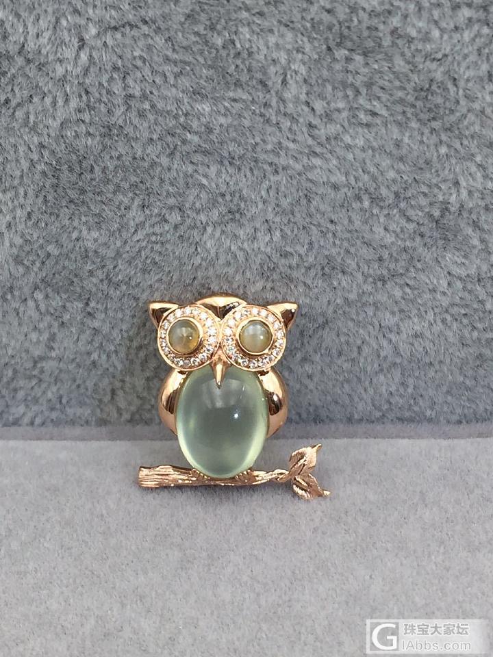 白内障的猫_镶嵌猫眼
