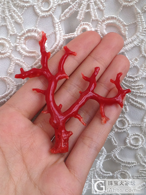 日本阿卡红珊瑚树形摆件 整树无拼接 投资收藏_摆件珊瑚