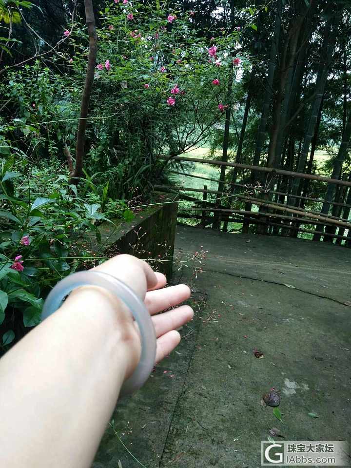 入手小镯一支，可是跟卖家的不一样~请大家帮忙看一下。图一是卖家的。_玉髓手镯