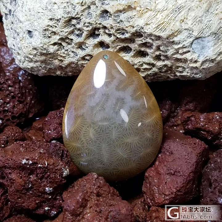 珊瑚玉收藏级饰品（天然品质）_挂件珊瑚玉