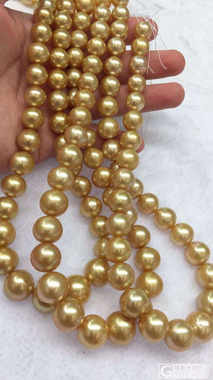 新制南洋金珠项链 天然海水深金金珠 颗粒珍珠一颗颗打的_项链海水珍珠珍珠