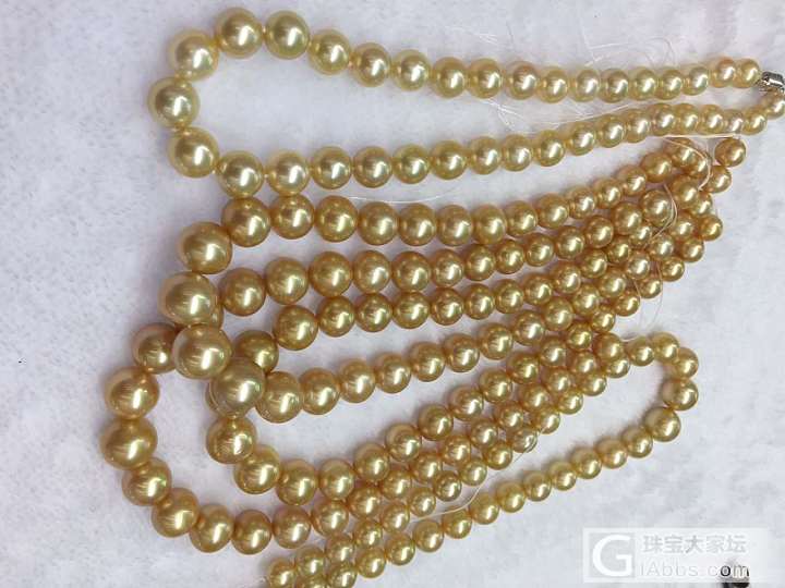 新制南洋金珠项链 天然海水深金金珠 颗粒珍珠一颗颗打的_项链海水珍珠珍珠