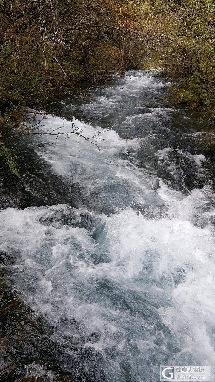 去年的九寨_闲聊四川旅游