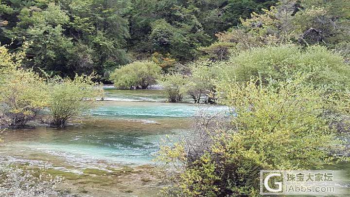 去年的九寨_闲聊四川旅游