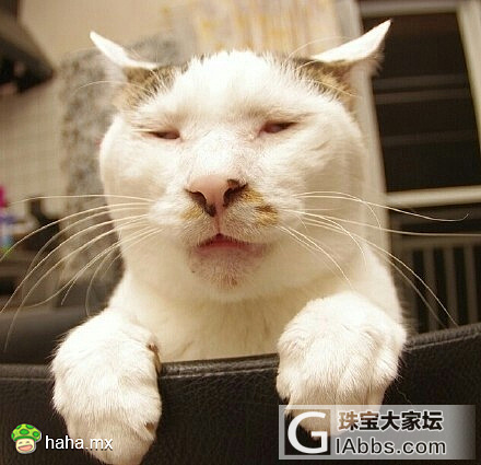 绿松石佛_松石造像