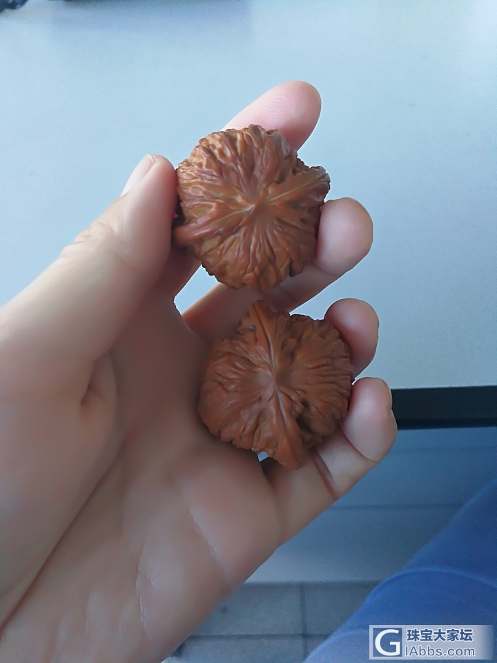 核桃_核桃