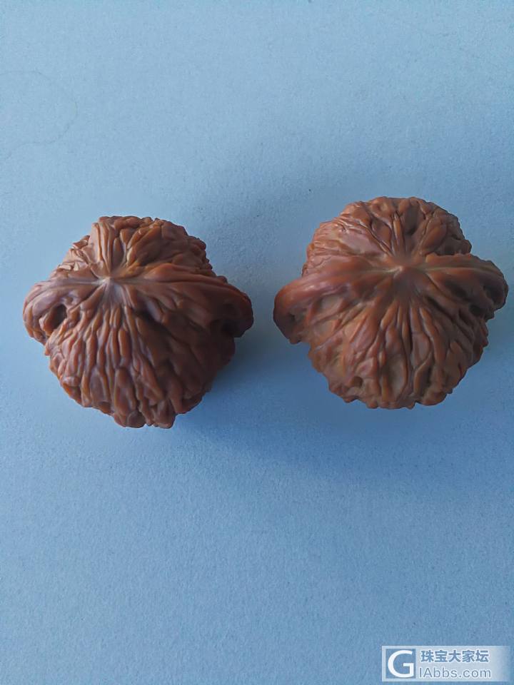 核桃_核桃
