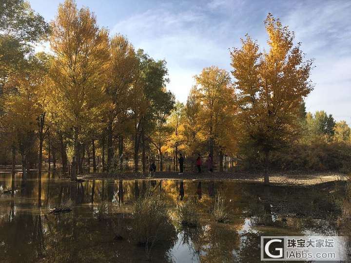 因为这个，额济纳之行取消_甘肃旅游