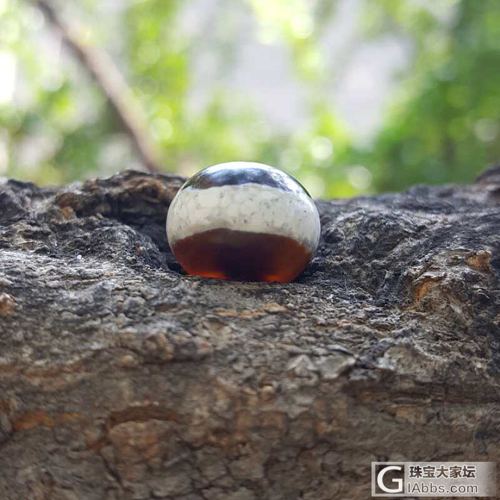 药师珠_天珠