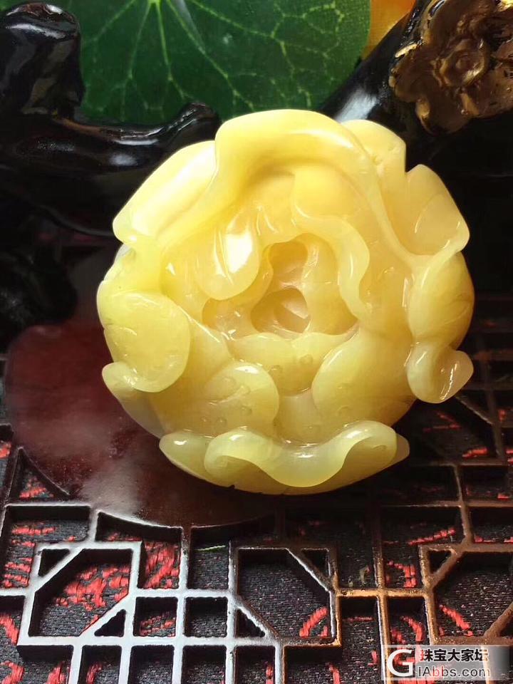你们有懂砗磲的吗？_砗磲
