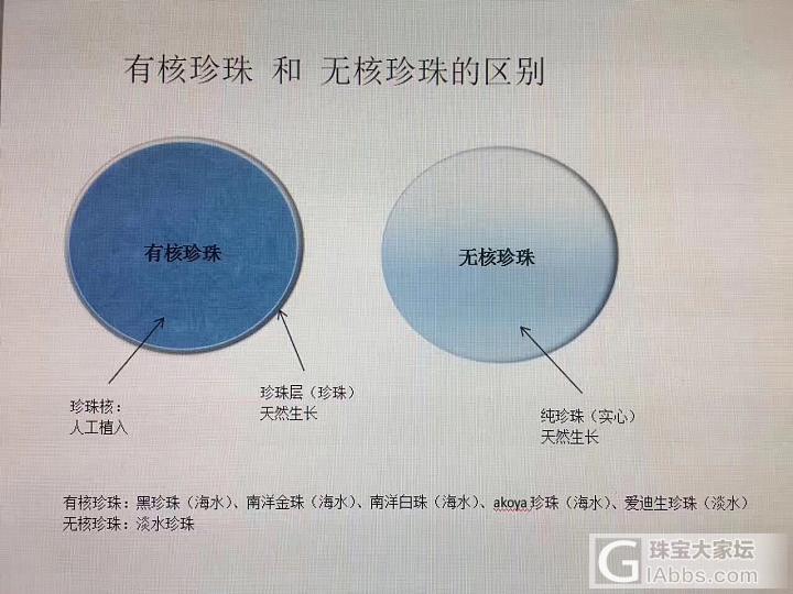 有核珍珠和无核珍珠_珍珠