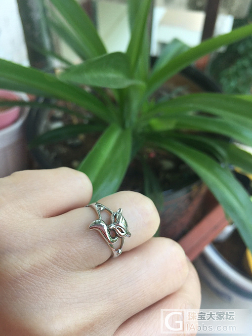 洗白白_925银戒指