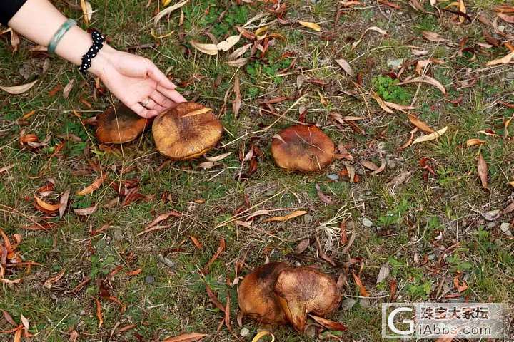 破土而出_美食