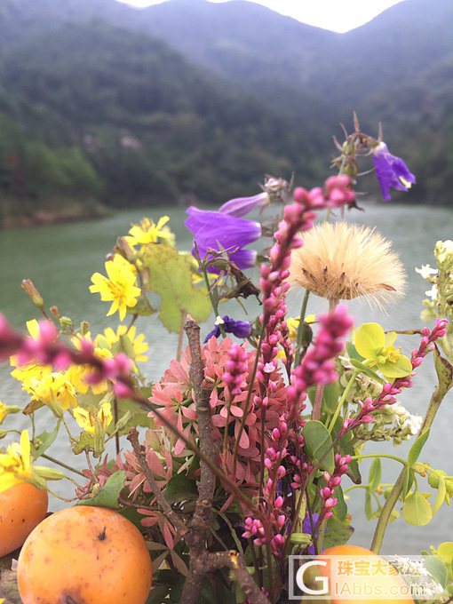 入秋 问花 花香 入画_花