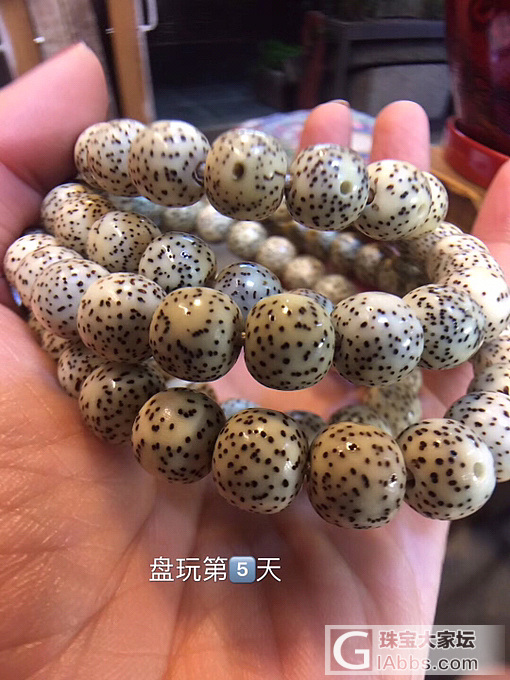 我的星🈷️盘玩变色过程_菩提子