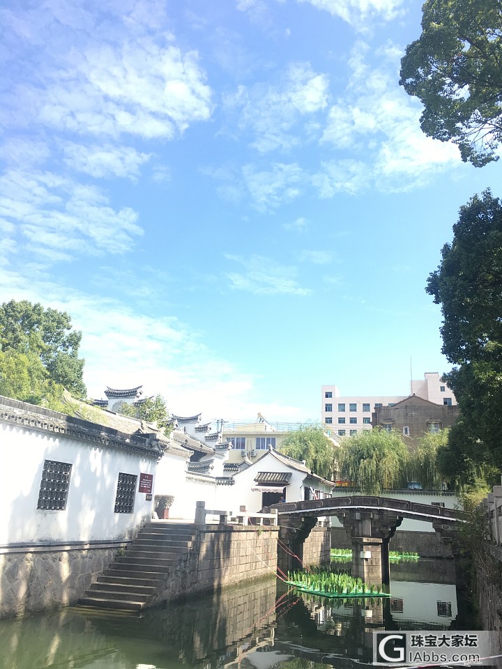 花鸟市场_坛友风采闲聊