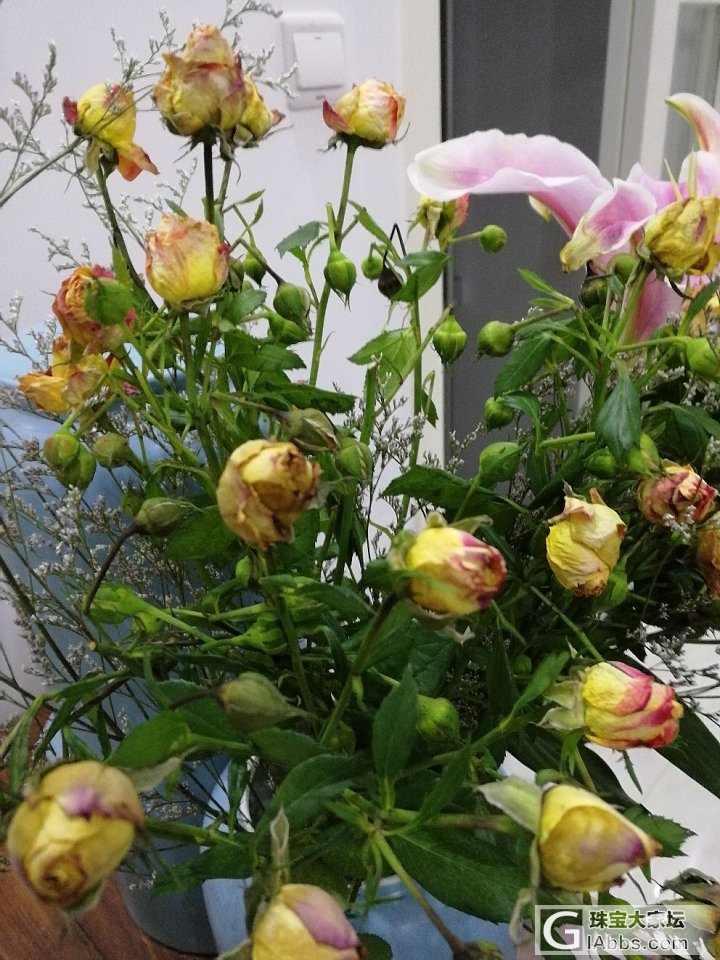 求鲜花保鲜方法_花