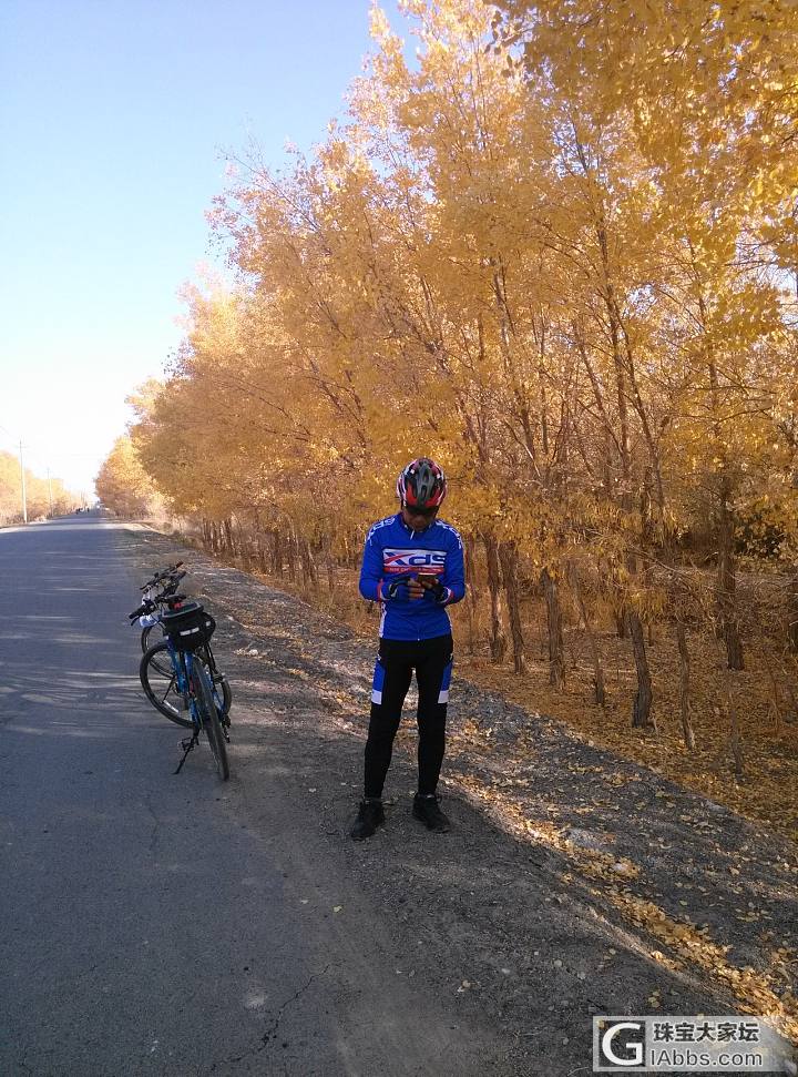 骑行50公里，只为那抹黄！_新疆旅游