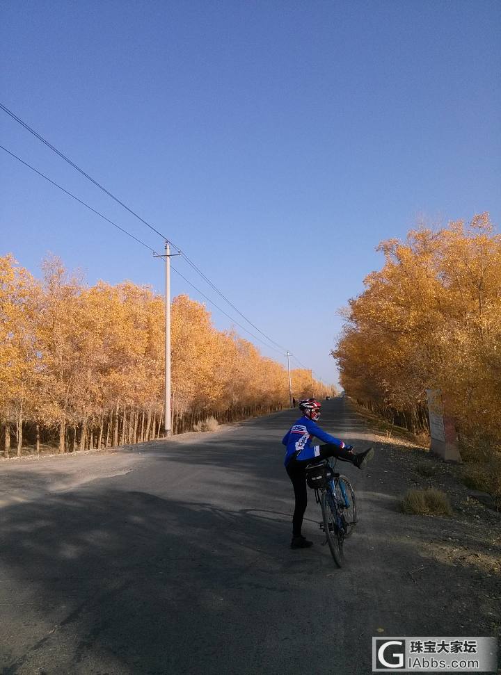 骑行50公里，只为那抹黄！_新疆旅游