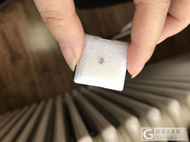 新请了一颗小粉钻，散货不是gia的_彩钻
