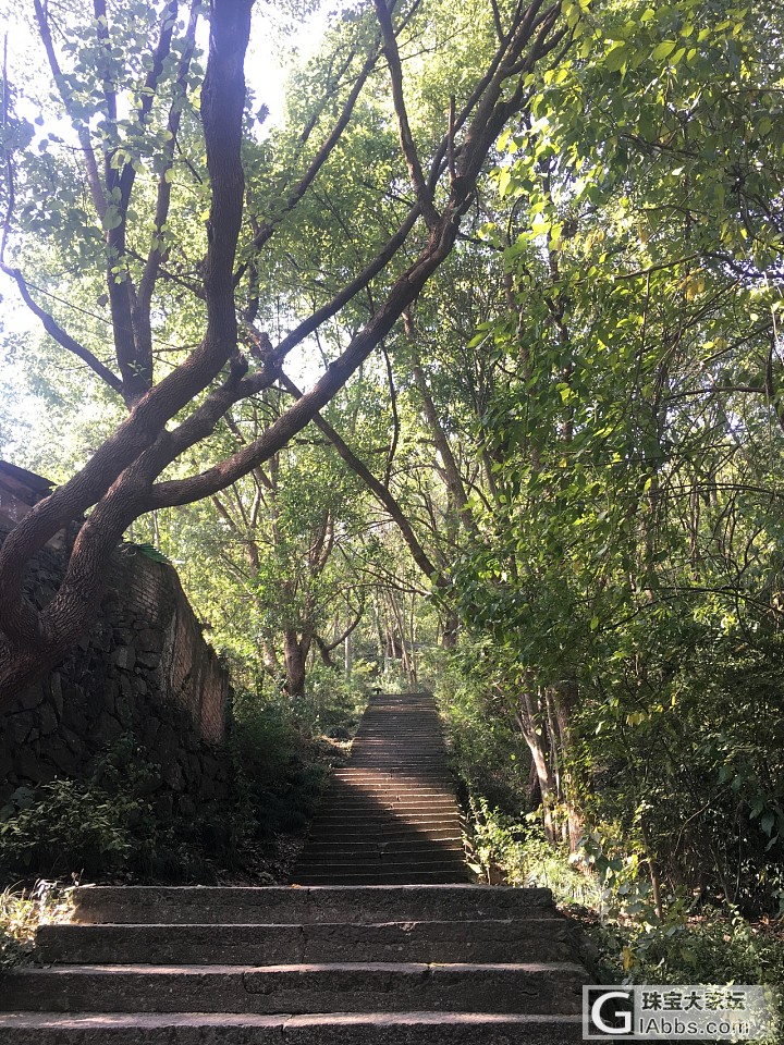 就喜欢山里，心静_旅游