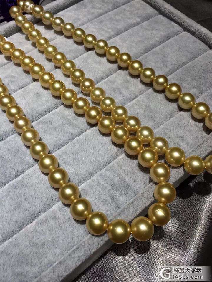 菲律宾金珠项链
10到12M 正圆强光干净_海水珍珠项链