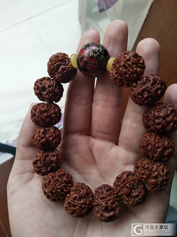 人家说的天然扇面飞碟桩金刚，大家说怎样？？！_珠串菩提子