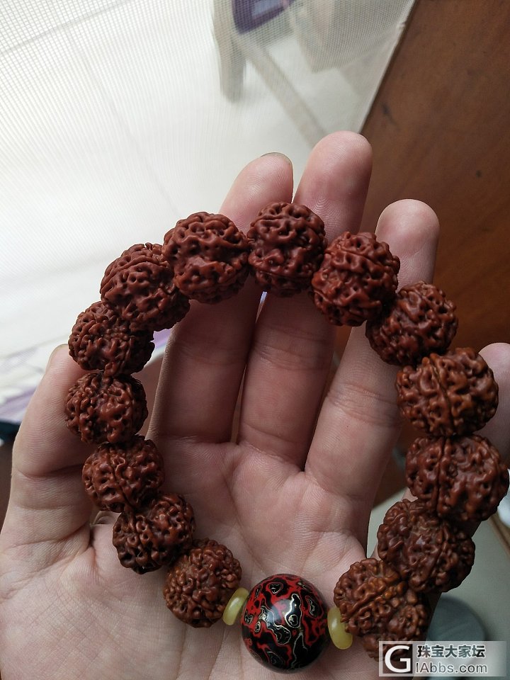 人家说的天然扇面飞碟桩金刚，大家说怎样？？！_珠串菩提子