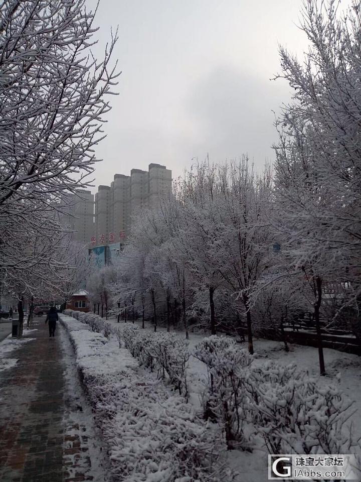 2017年乌鲁木齐第一场雪比以往来的更晚一些_乌鲁木齐摄影