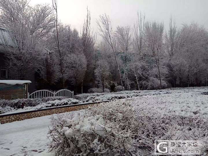 2017年乌鲁木齐第一场雪比以往来的更晚一些_乌鲁木齐摄影