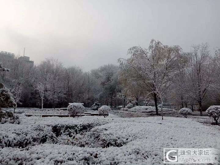 2017年乌鲁木齐第一场雪比以往来的更晚一些_乌鲁木齐摄影