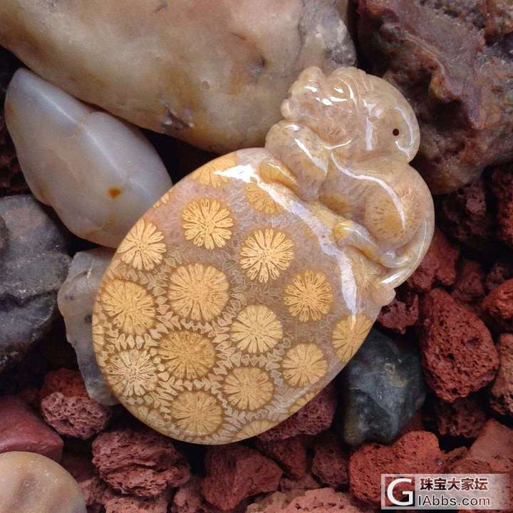 珊瑚玉哦_珊瑚玉