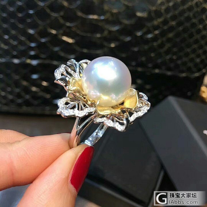 垂涎欲滴的一枚澳白 布锲拉缇_镶嵌海水珍珠