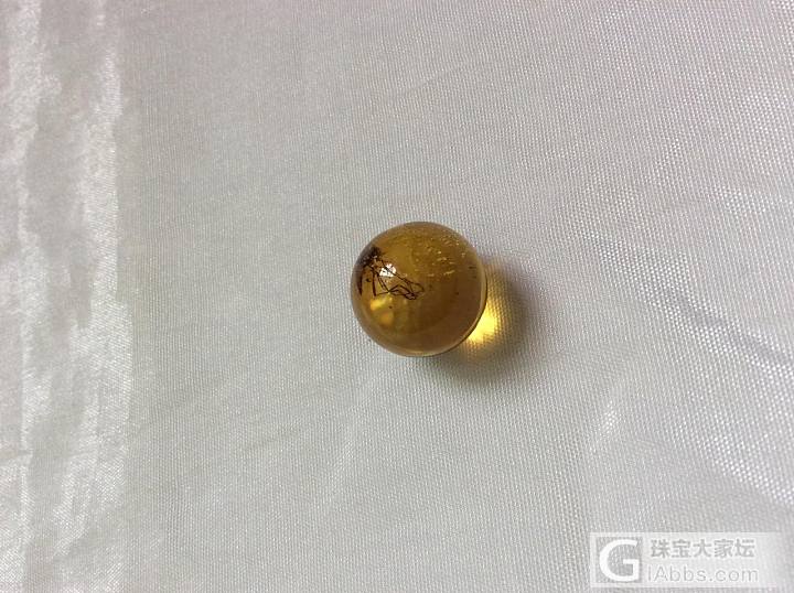 虫子_蛋面虫珀