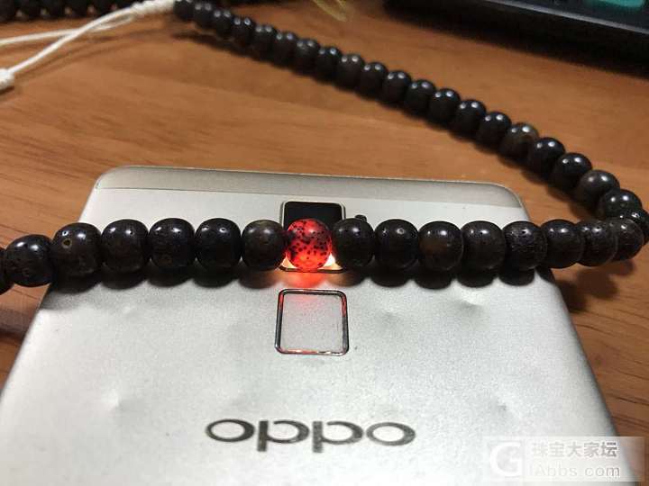 对于刚接触菩提的朋友我想劝劝一句_菩提子