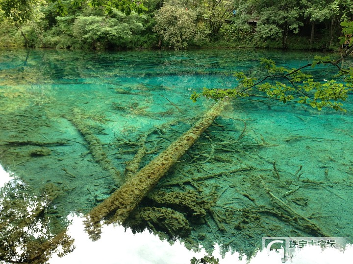 昔日美美的九寨沟～_旅游大家谈