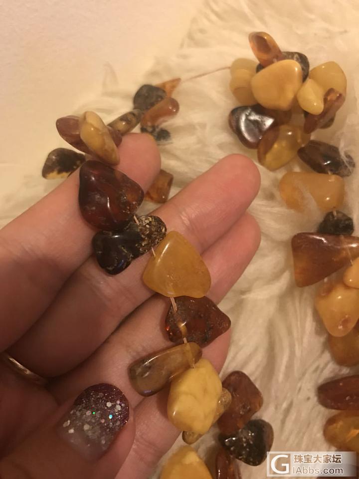 猜猜这串带虫子的是哪个产地的琥珀_虫珀