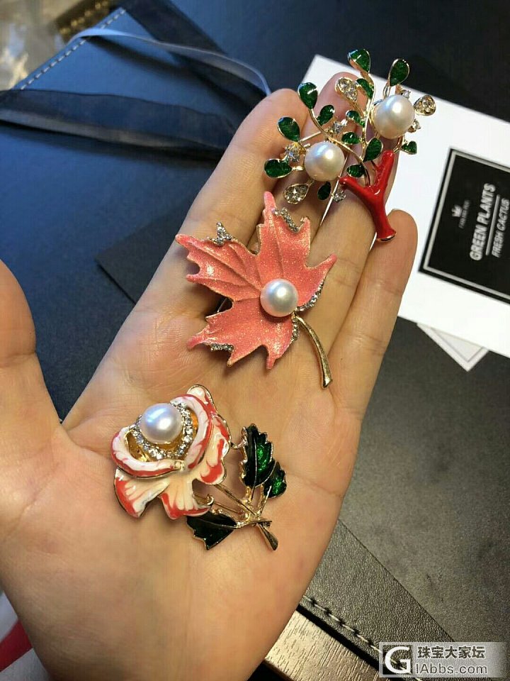 胸欣赏胸针_胸饰