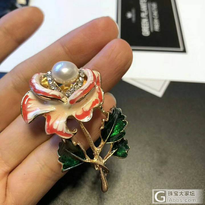 胸欣赏胸针_胸饰