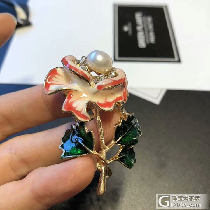 胸欣赏胸针_胸饰