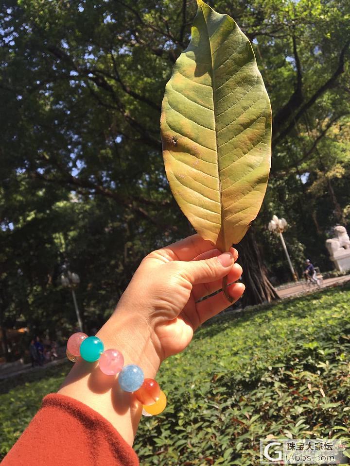 金木水火土五行对一个人很重要！过剩或者缺失对运势都不好！看五行_多宝水晶