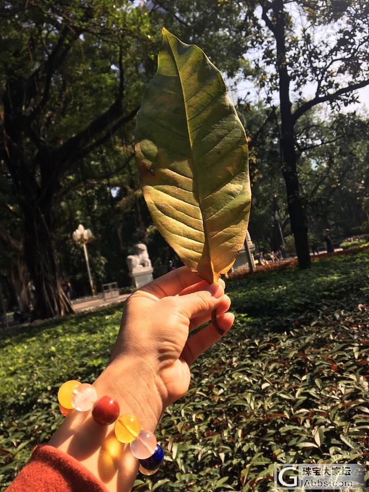 金木水火土五行对一个人很重要！过剩或者缺失对运势都不好！看五行_多宝水晶