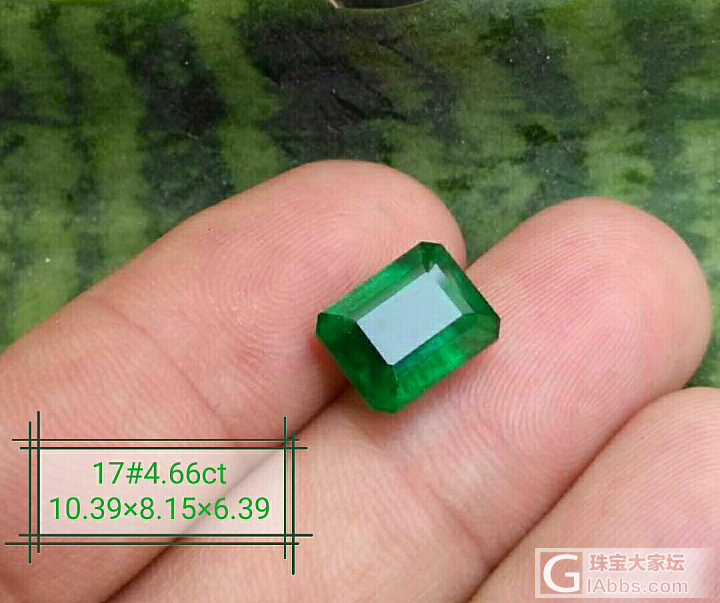 祖母绿_祖母绿