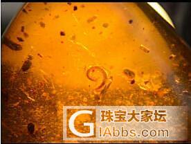 缅甸虫珀_虫珀