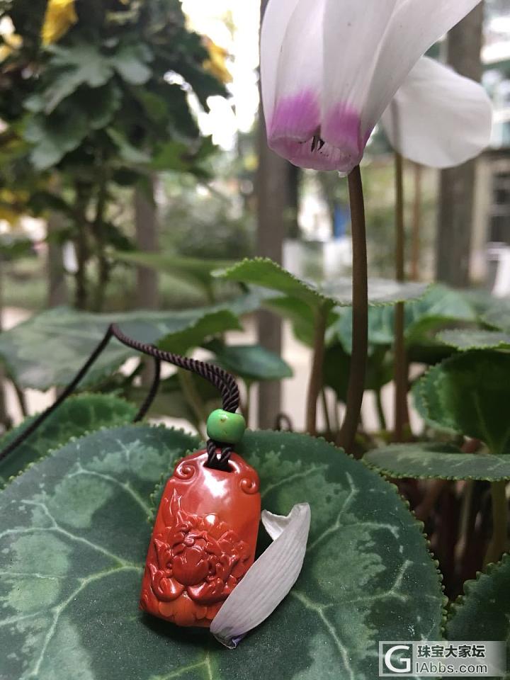 牡丹锁_挂件南红