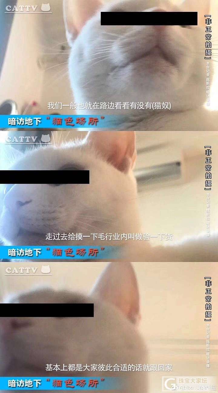 现在小卡片都那么高级了咯？_贴图猫